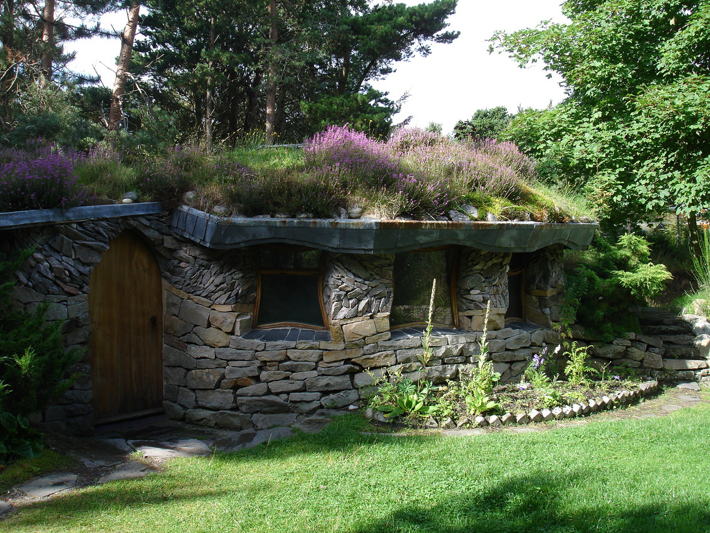 green roof